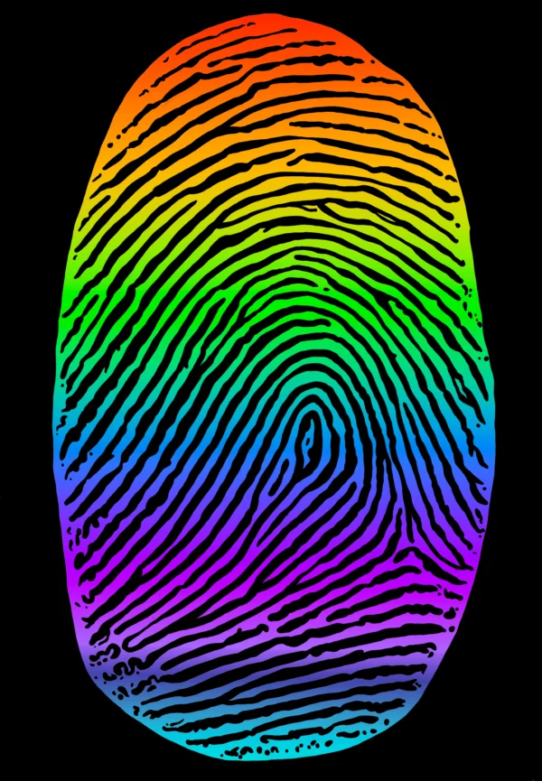 The Gay Print