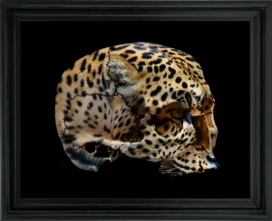 Leopard Skull