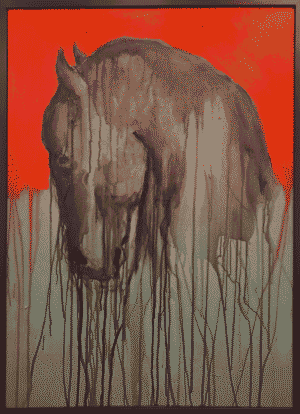 Stallion
