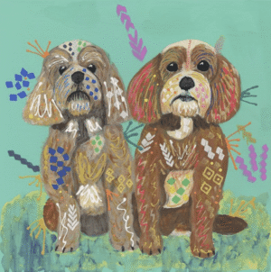 Rodney and Mabel Cavapoos